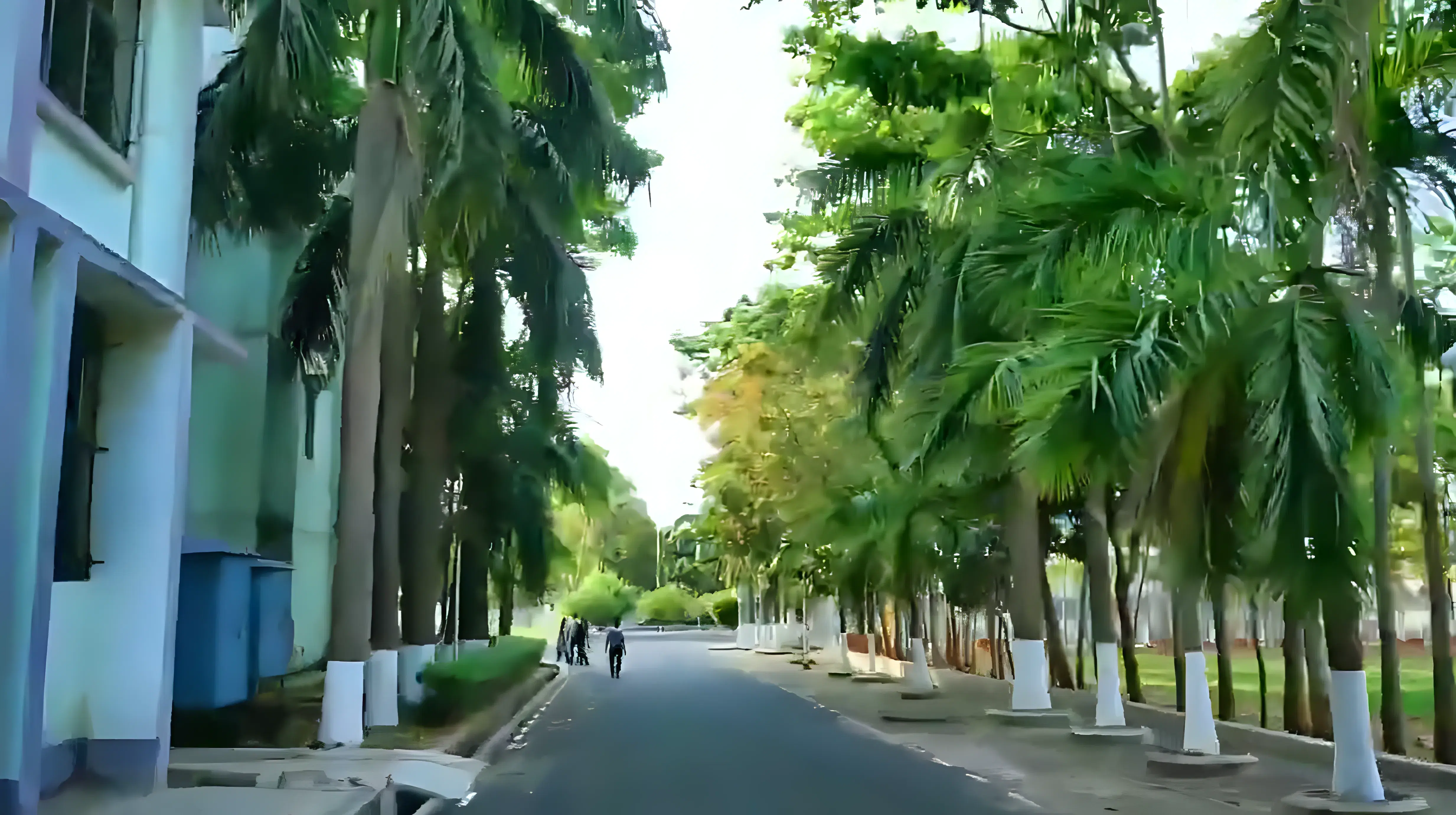 Bangalore College of Engineering and Technology Campus photo 17